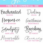 Free Script Fonts for Commercial Use Vol. 2 – DigitalistDesigns